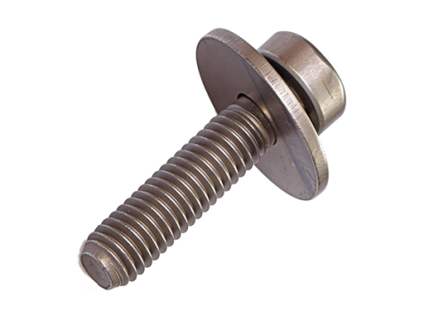 Torx 2-Piece Screws