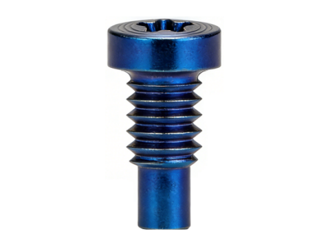 Torx Pan Head PVD CD Pattern Screw