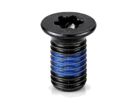 Torx Nylon Patch Locking Screw