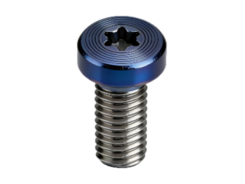 Torx Socket Head Cap Screw with PVD CD Pattern