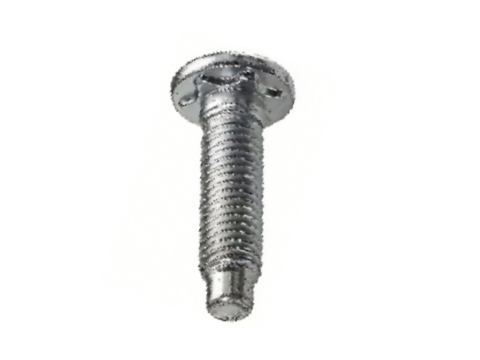 Rivet Screw