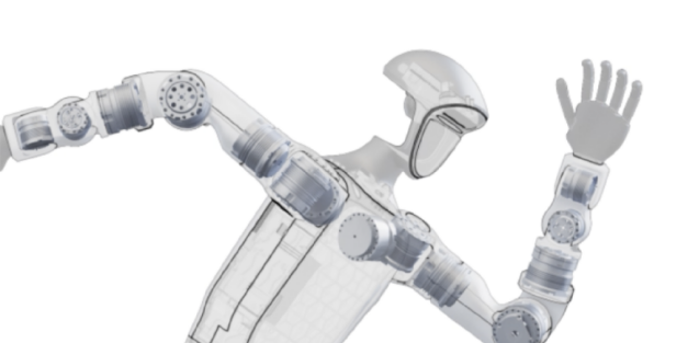 Humanoid Robot Application
