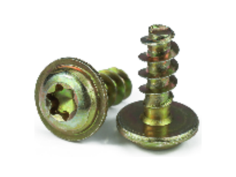 PT Torx Pan Head Flange Plastic Tapping Screw