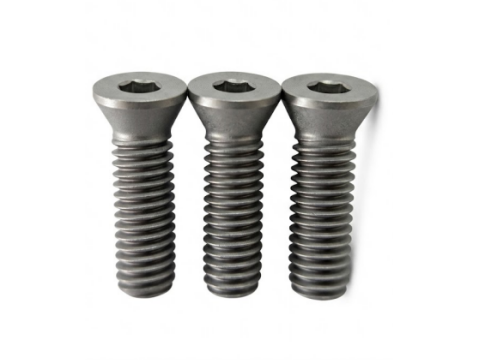 TORX® T25 Tool Screw | M6×20 (1.0 Pitch)